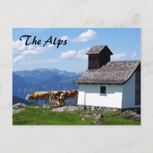 Carte Postale La montagne des Alpes avec les vaches alpines