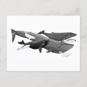 Carte Postale La Nage Des Baleines Illustration Art