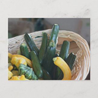 Carte Postale La Nature Du Squash Et De La Zucchini