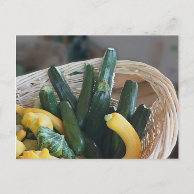 Carte Postale La Nature Du Squash Et De La Zucchini (Devant)