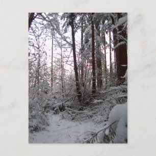 Carte Postale LA NEIGE HIVER par SHARON SHARPE