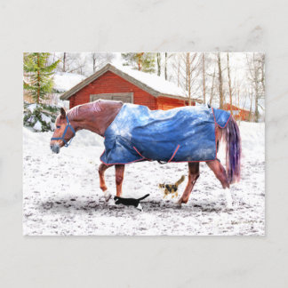 Carte Postale "La nouvelle couverture de Jessie"
