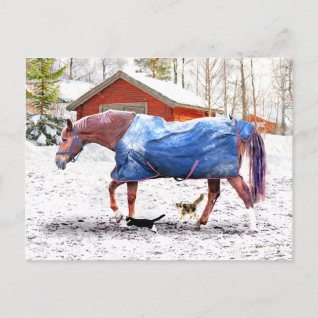 Carte Postale "La nouvelle couverture de Jessie" (Devant)