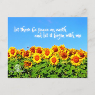 Carte Postale La paix des tournesols pour l'Ukraine