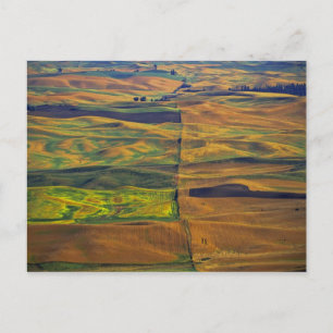 Carte Postale La Palouse de Steptoe Butte, Colfax,
