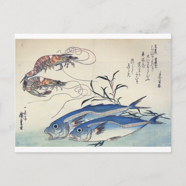 Carte Postale La peinture sur la vie marine japonaise vers les a (Devant)