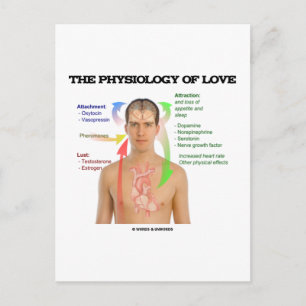 Carte Postale La Physiologie De L'Amour (Symptômes De L'Amour)