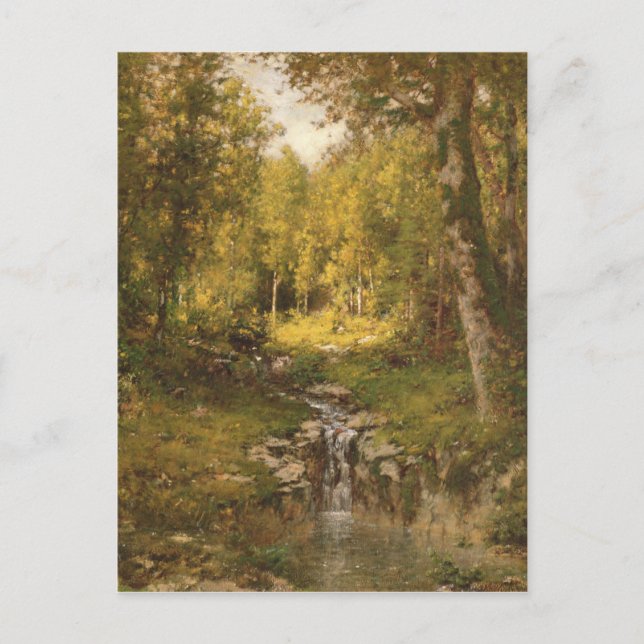 Carte Postale La piscine dans les bois (Devant)