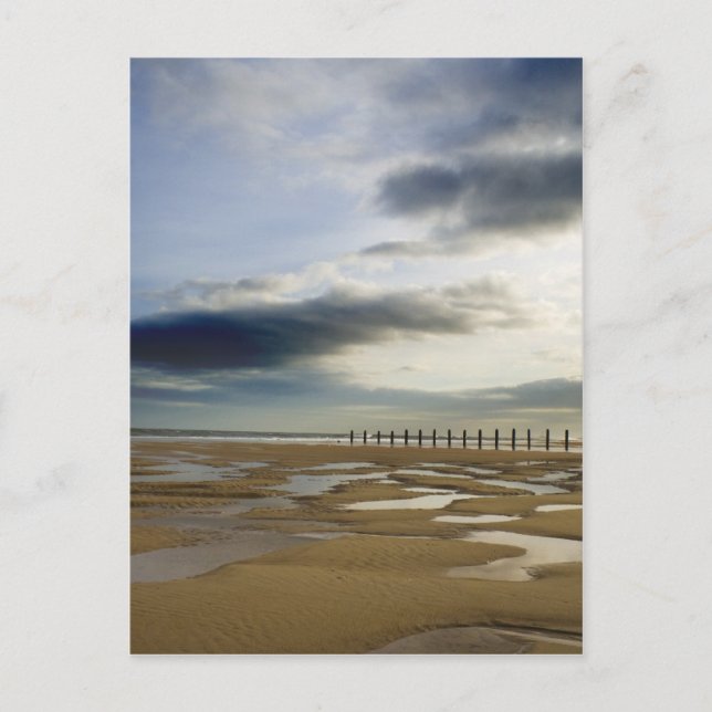 Carte Postale La plage de Blyth (Devant)
