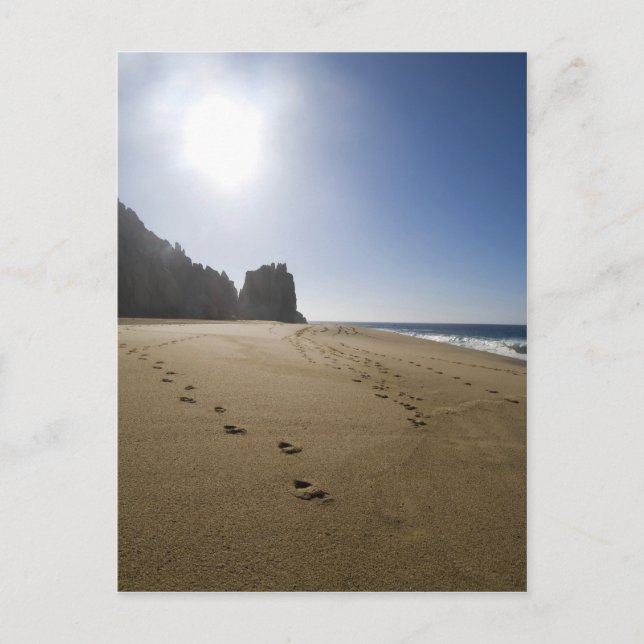 Carte Postale La plage de Cabo San Lucas 3 (Devant)