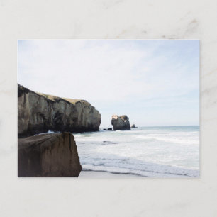 Carte Postale La plage de Dunedin