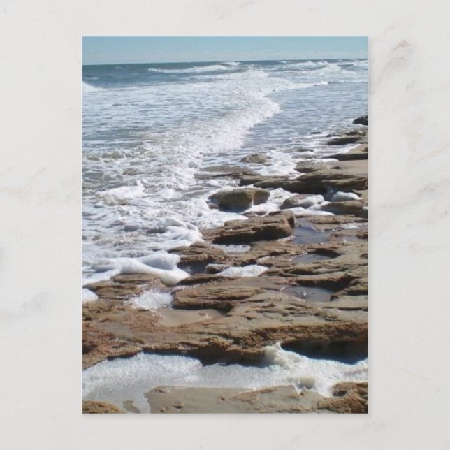 Carte Postale La plage de Marineland (Devant)