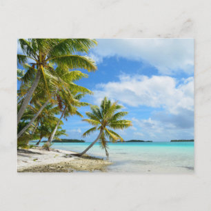 Carte Postale La plage de palmiers du Pacifique