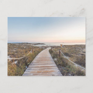 Carte Postale La plage d'Es Pujols à Dawn
