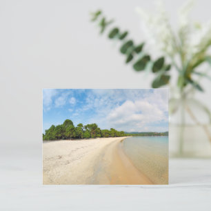 Carte Postale La plage Koukounaries de l'île de Skiathos, Grèce