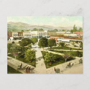 Carte Postale La Plaza à Healdsburg Californie