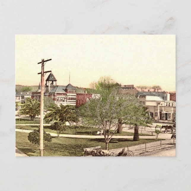 Carte Postale La Plaza (Place) à Healdsburg CA (Devant)