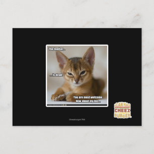 Carte Postale La plume est morte.