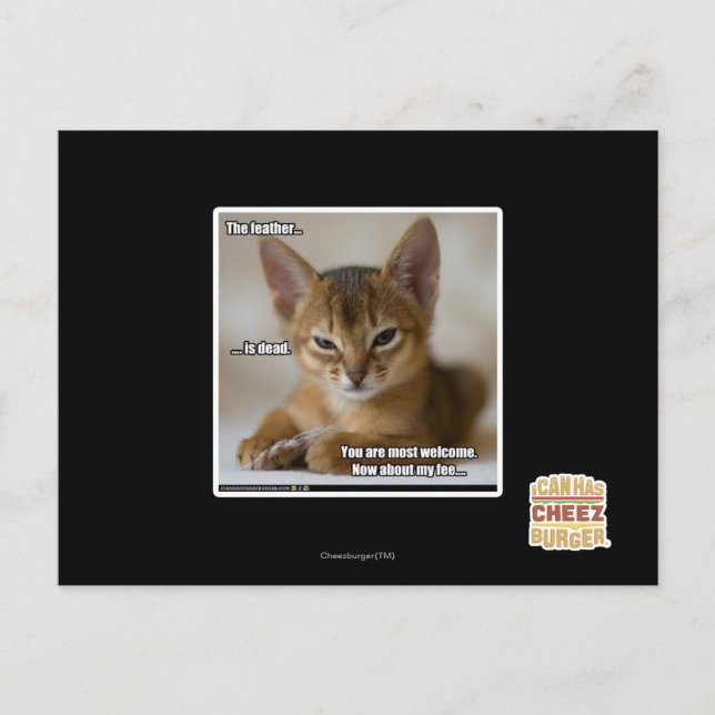 Carte Postale La plume est morte. (Devant)