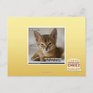 Carte Postale La plume est morte.