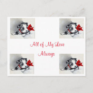 Carte Postale La plus belle Vintage Boston Terrier Puppy