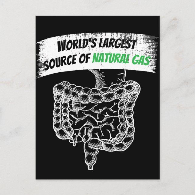 Carte Postale La Plus Grande Source Mondiale De Farting De Gaz N (Devant)