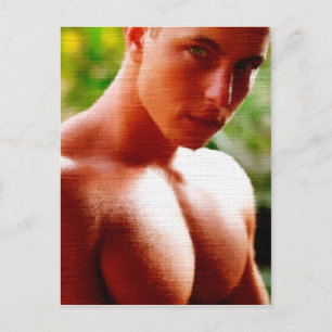 Carte Postale La poitrine des rêves