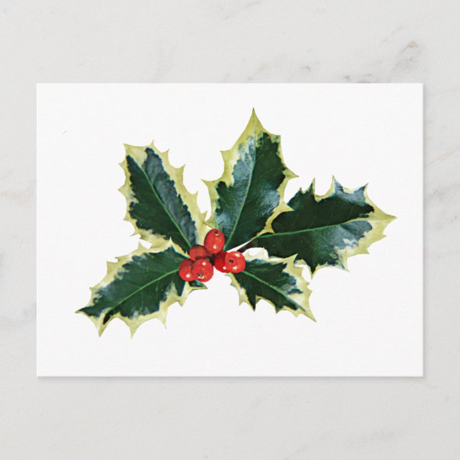 Carte Postale La Porte de Holly Brownell (Devant)