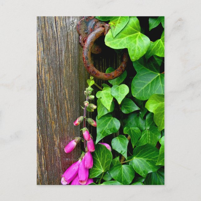 CARTE POSTALE LA PORTE SECRET (Devant)