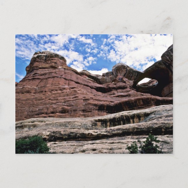 Carte Postale La Potty de Paul Bunyon - Parc national des Canyon (Devant)