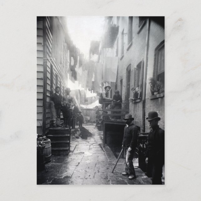 Carte Postale La racine de Jacob Riis Bandit (Devant)