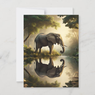Carte Postale La réflexion d'un éléphant