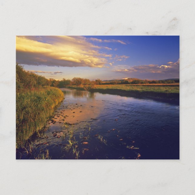 Carte Postale La rivière Big Hole à dernier feu près de Jackson (Devant)