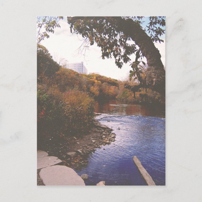 Carte Postale La rivière Huron (Devant)