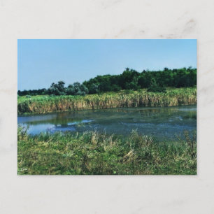 Carte Postale La rivière Molochnaya près de Melitopol. Ukraine