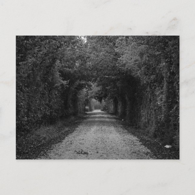Carte Postale La route sombre (Devant)