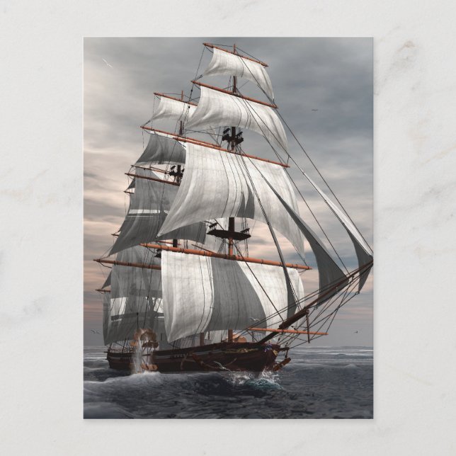 Carte Postale La savane de solides solubles (Devant)