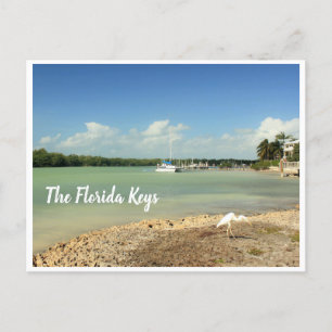 Carte Postale La scène photo Florida Keys avec bateau et oiseau