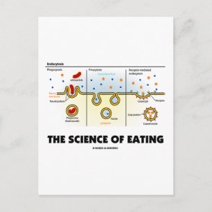 Carte Postale La science de l'alimentation (Humour de biologie d