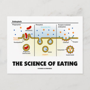 Carte Postale La science de l'alimentation (Humour de biologie d