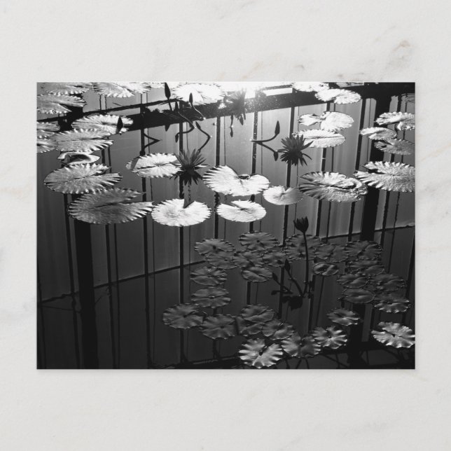 Carte Postale La Serre : Shinjuku Gyoen, Tokyo (Devant)