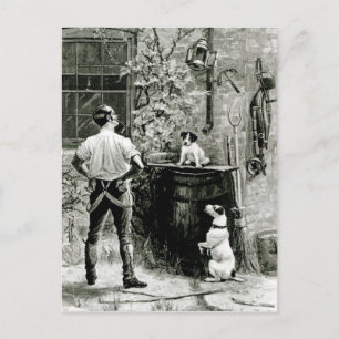 Carte Postale La survie de la condition physique