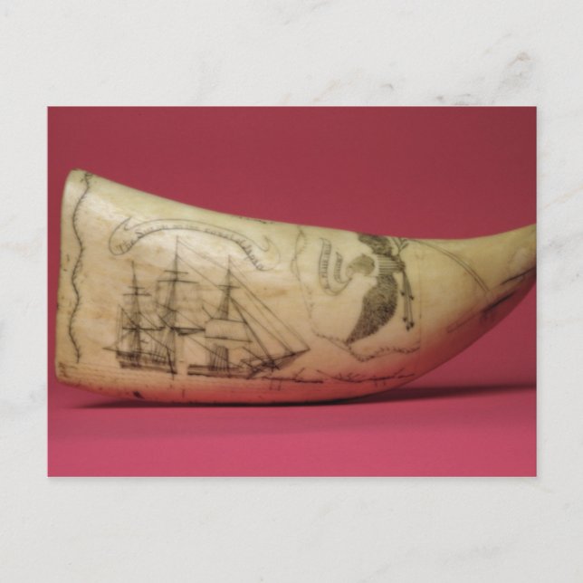 Carte Postale La Susan sur la côte du Scrimshaw japonais (Devant)