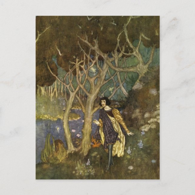 Carte Postale La tempête de Dulac (Devant)