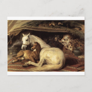 Carte Postale La tente arabe par Edwin Henry Landseer