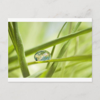 Carte Postale La Terre dans une goutte