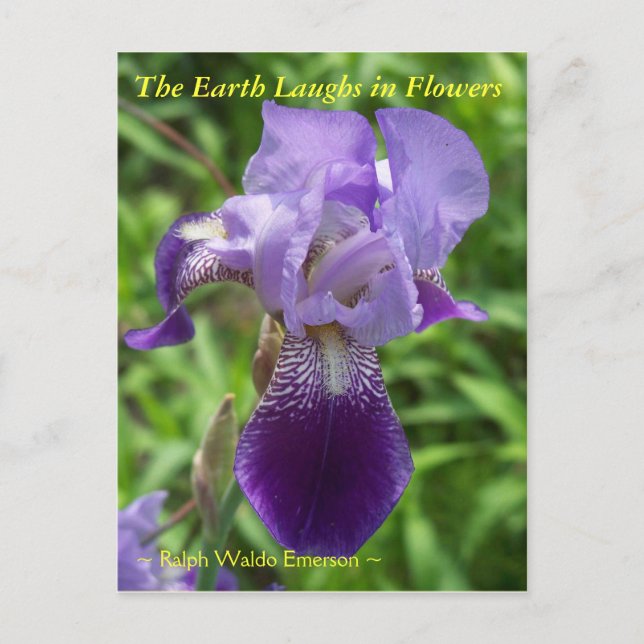 CARTE POSTALE LA TERRE RIME EN FLEURS - IRIS (Devant)