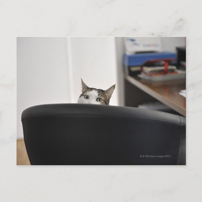 Carte Postale La tête d'une chaise de bureau, à proximité (Devant)