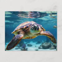 La tortue de mer dans l'océan