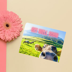 Carte Postale La vache drôle va bien bientôt